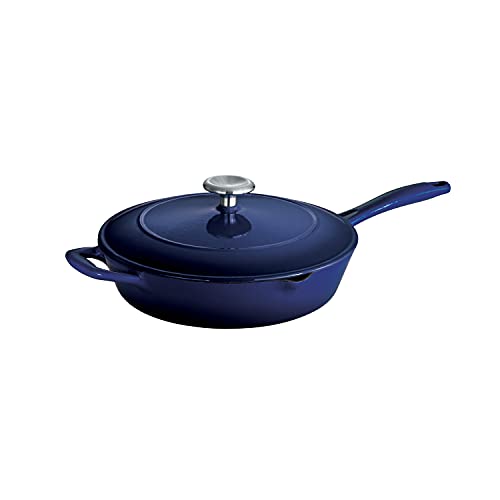 Best Enameled Cast Iron Skillet America'S Test Kitchen