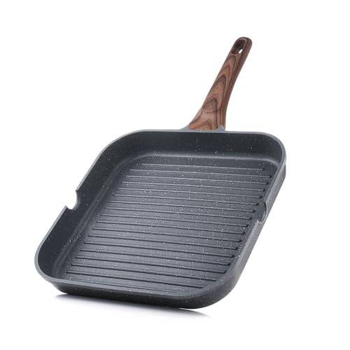 Best Pan for Cooking Steak